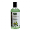Luxury Shower Gel - Wild Jasmine (Aloe Veda)
