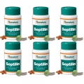 Septilin -Ayurvedic Immune Booster