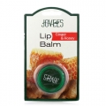 Lip Balm - Ginger and Honey (Jovees)