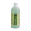 Fabindia Mint Rosemary Body Wash