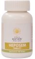 Heposem Tablets (Kerala Ayurveda)