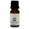 Nyassa Under the Ocean Fragrance Oil