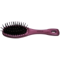 Vega Premium Collection Cushion Hair Brush R1 CB