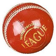 SG League Cricket Ball