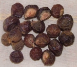 Soap Nut (Kunkudukayalu, Reetha)