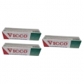 Vicco Toothpaste 25g