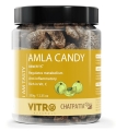 Vitro Naturals Amla Candy Chatpatta