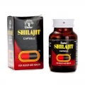 DABUR SHILAJIT-PURE AND NATURAL AYURVEDIC SHILAJIT