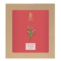 Forest Essentials Body Ubtan Rose Petal, Vetiver a
