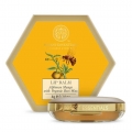 Forest Essentials Luscious Lip Balm with Alphonso 