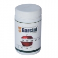 Garcini Tablet