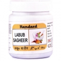 Hamdard Labub Sagheer