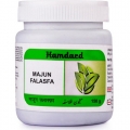 Hamdard Majun Falasfa