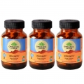Organic India Immunity Formula