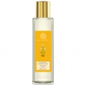 Silkening Shower Wash Mashobra Wild Honey (F.E)